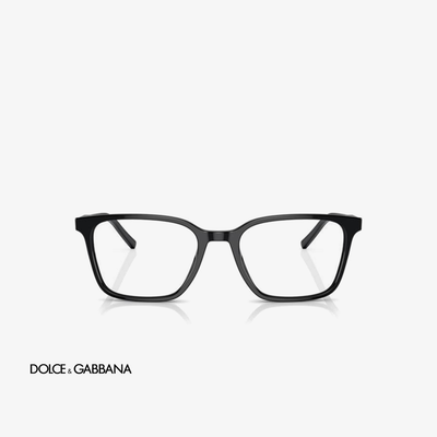 Dolce & Gabbana DG3365 501 54