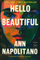 Hello Beautiful - Ann Napolitano