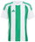 Fanellë futbolli adidas Striped 24 Jr IW2138, për fëmijë, poliester i ricikluar, jeshile e bardhë