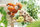 Nici Loder E Bute 20Cm Orangutani 49816