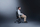 Karrige lojërash Razer Iskur V2, 6D lumbar, e zezë