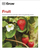 Grow Fruit - Holly Farrell