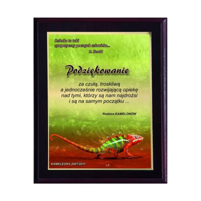 Diplomë plastike Victoria Sport, e laminuar me ngjyra, 230 x 180 mm, shumëngjyrëshe