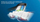 Koka furçe dhëmbësh Philips Sonicare W2 Optimal White HX6062/13, BrushSync, set 2 copë, e zezë