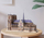 Puzzle 3D Piececool Notre-Dame De Paris, model metalik, 382 pjesë, shumëngjyrësh