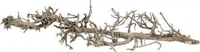 Dekor rrënjë për akuarium Terra Natura Southern Root S, 15-25 cm, natyrale, kafe