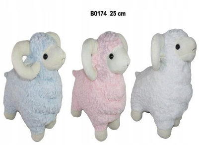 Product Picture