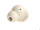 Kufje wireless Havit TW969 Lite, Bluetooth 5.4, 7 orë përdorim, beige
