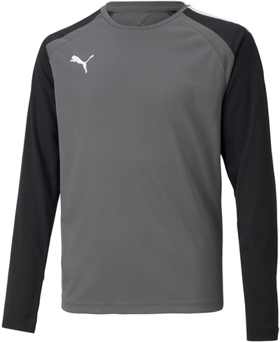 Fanellë portieri Puma teamPacer GK LS Jersey Jr 704939 43, për fëmijë, poliestër i ricikluar, gri