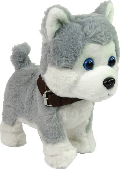 Lodër interaktive qenush Husky, pelush, me tinguj dhe lëvizje, shumëngjyrëshe