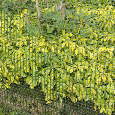 Rrjetë kopshti Nature Mesh 6050205, 1x3 m, 20x20 mm, jeshile