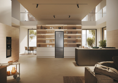 Frigorifer kombi Haier HTW5620DNMG, 414L, No Frost, inox