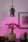 Lampë varëse Paulmann Neordic Lavea, 1x15W, me bazë E27, metal i zi