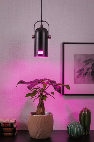 Lampë varëse Paulmann Neordic Lavea, 1x15W, me bazë E27, metal i zi