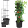 Vazo domatesh Prosperplast Tomato Grower, diametër 30 cm, plastike, grafit