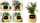 Vazo inteligjente PLANTSIO Smart Pet Planter Robot, udhëzues për përkujdesjen e bimëve, ndërvepron me emoji, e verdhë