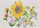 Kartolina Watercolor Sunflower, me luledielli në akvarel, set me shumëngjyra