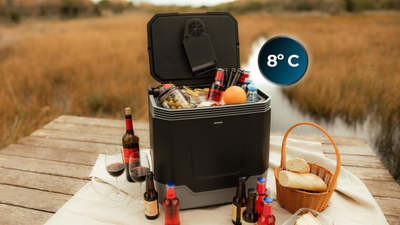 Frigorifer turistik Cecotec Bolero TravelCooling 33L D, 33L, ftohje dhe ngrohje, gri e errët