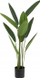 Bimë artificiale Atmosphera Strelitzia, 97cm, polipropilen, jeshile