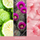 Qiri aromatik Yankee Candle Signature Desert Blooms, 567g, kavanoz i madh, shumëngjyrëshe