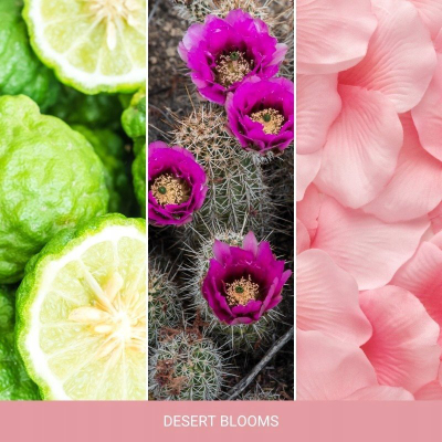 Qiri aromatik Yankee Candle Signature Desert Blooms, 567g, kavanoz i madh, shumëngjyrëshe