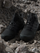Çizme për Meshkuj, ADIDAS - IH1091