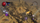 Loja dixhitale Path of Exile First Blood Pack, DLC, Xbox One