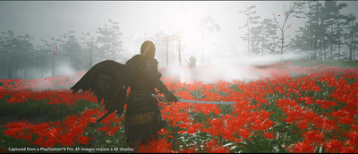 Videolojë Ghost of Tsushima - Director's Cut (PS5)