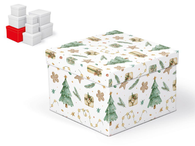 Kuti dhuratash BN C V007 GL, karton dekorativ, 20x20x14cm, shumëngjyrëshe festive