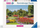 Puzzle Ravensburger Beautiful Gardens Park of Villa Pallavicino Stresa Italy, 1000 pjesë, për të rritur, shumëngjyrëshe