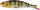 Harengë LB Soft 4Play Swim&Jerk - Perch 9.5cm 7.5g 4 copë (42179)