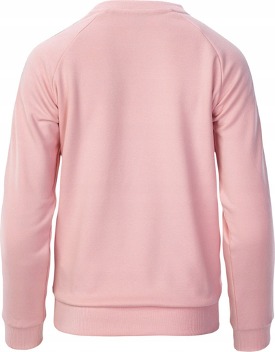Bluze Iguana Kauri Sweatshirt W 92800442932, mikrofleece, për goca, gri