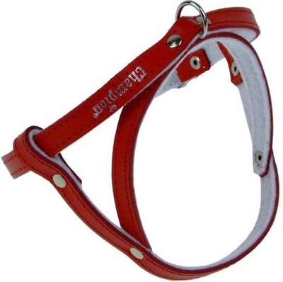 Shtrëngues qeni Champion Harness 50 SD, i kuq