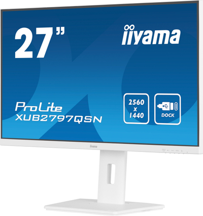 Monitor Iiyama G-MASTER 27", QHD, IPS, USB-C Dock dhe RJ45, i zi