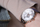 Orë dore Tommy Hilfiger Bennett 1791781