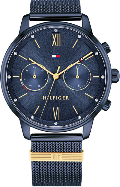 Orë dore Tommy Hilfiger Blake 1782305