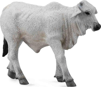 Figurë lodër Collecta Brahman Calf, viç Brahman, plastikë, shumëngjyrëshe