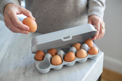 Kuti vezësh Koziol Eggs To Go, 10 vezë, bio, gri