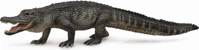 Figurine kafshe CollectA Alligator, plastike, shumëngjyrëshe