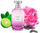Parfum për gra Coach Dreams Moonlight EDP, 60 ml, aromë floreale