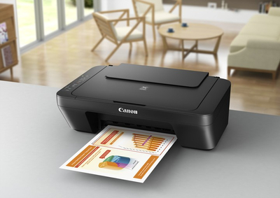 Printer multifunksional Canon PIXMA MG2550S