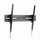 Mbajtës muri për TV GEMBIRD WM-100T-01, 43"-100", 75 kg, i zi