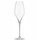 Kupë shampanje Zwiesel Glas Alloro, 366 ml, qelq i kthjellët