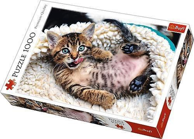 Puzzle Trefl 1000 pjesë (226185)