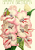 Kartolinë urimi Madame Treacle B6 Birthday Gladiolus, me shkëlqim, me zarf
