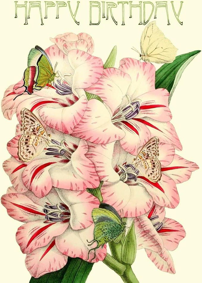 Kartolinë urimi Madame Treacle B6 Birthday Gladiolus, me shkëlqim, me zarf