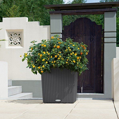 Vazo Lechuza Cube Cottage 40 me sistem ujitje, 40 cm, e bardhë