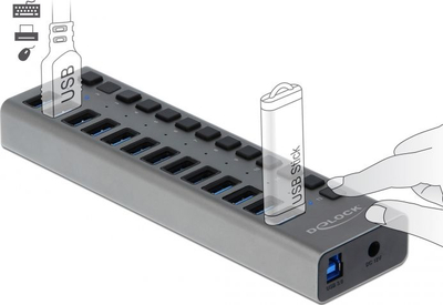 Hub USB DeLOCK 63738, 13 porta USB 3.2 Gen 1, 5 Gbps, gri
