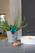 Gërshërë barishtesh Gardena HerbCut 12214, tehe inoksi, dorezë ergonomike, ngjyrë turquoise