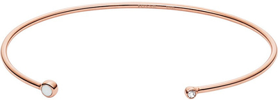 Byzylyk Fossil JF02896791